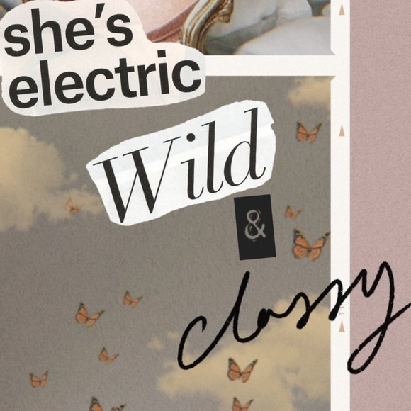 Meet your Posher - Picture 4 of 4